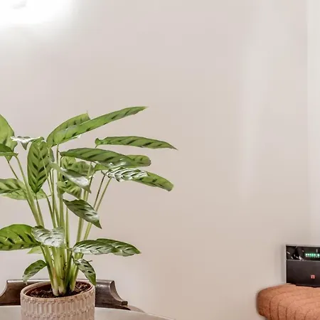 Casa Ghetto 13 דירה רומא